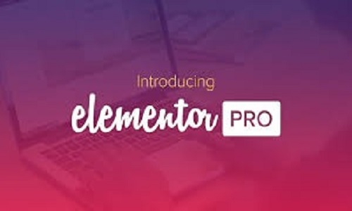 Elementor Pro WordPress Plugin V-3.0.4